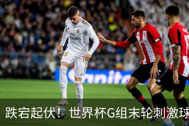跌宕起伏！世界杯G组末轮刺激球迷心脏 伊朗狂喜过后遭打击